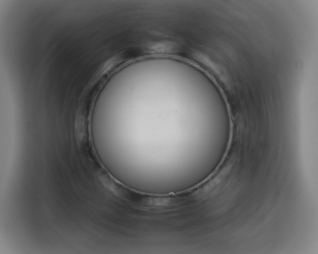 X0000113761211200909301102