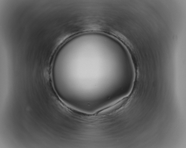 X0000113761212200909301102