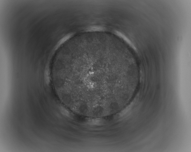 X0000113761213200909301102