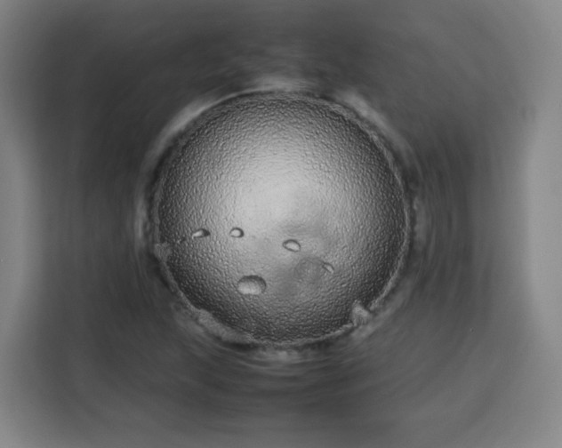 X0000113761215200909301103