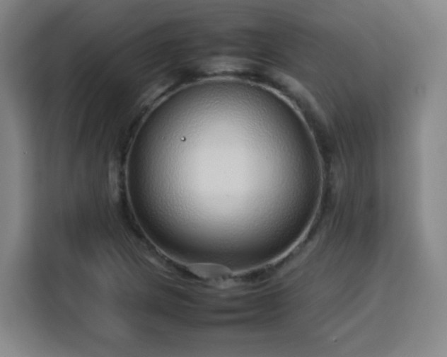 X0000113761217200909301103