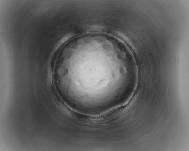 X0000113761219200909301103