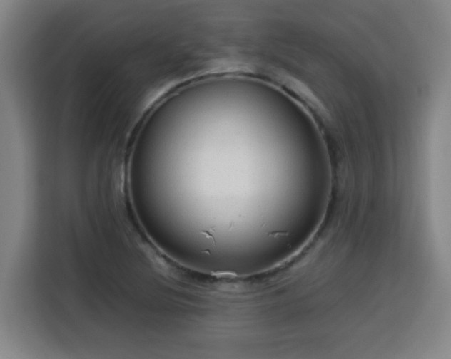 X0000113761220200909301103