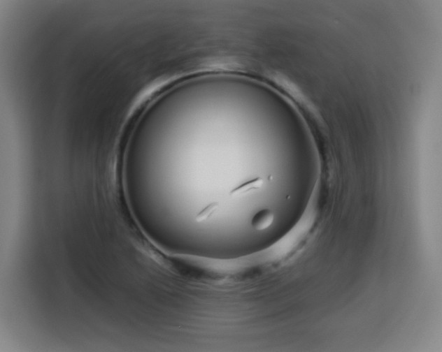 X0000113761222200909301103