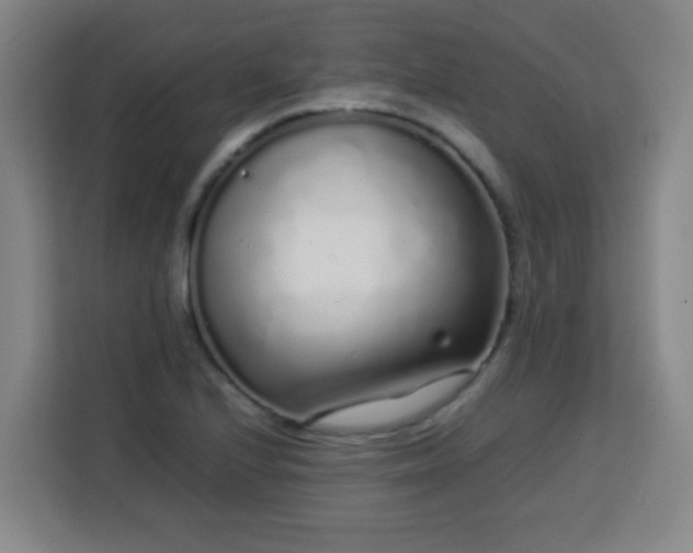 X0000113761224200909301103
