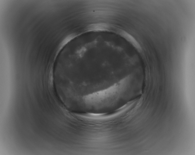 X0000113761226200909301103