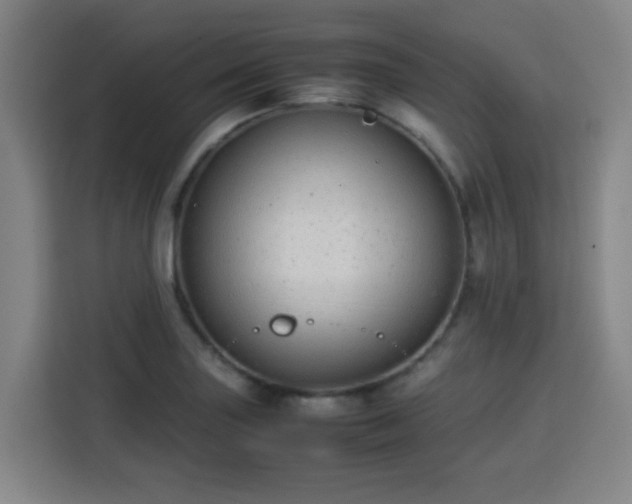 X0000113761227200909301103