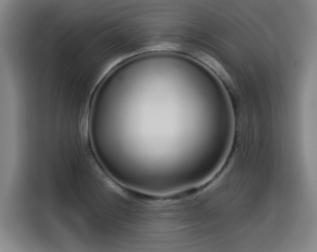 X0000113761228200909301103