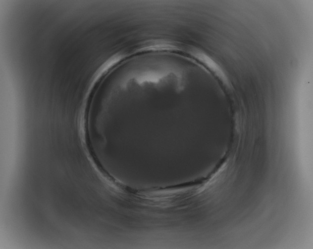X0000113761229200909301103