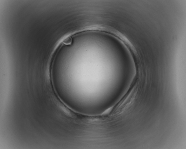 X0000113761230200909301103