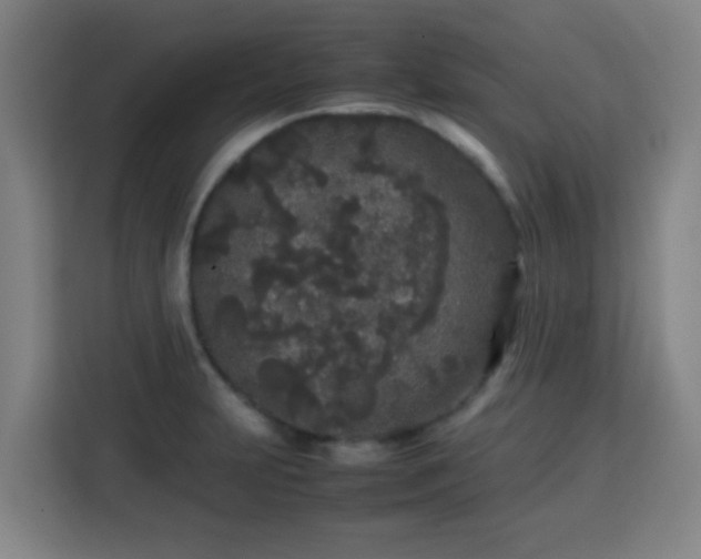 X0000113761231200909301103