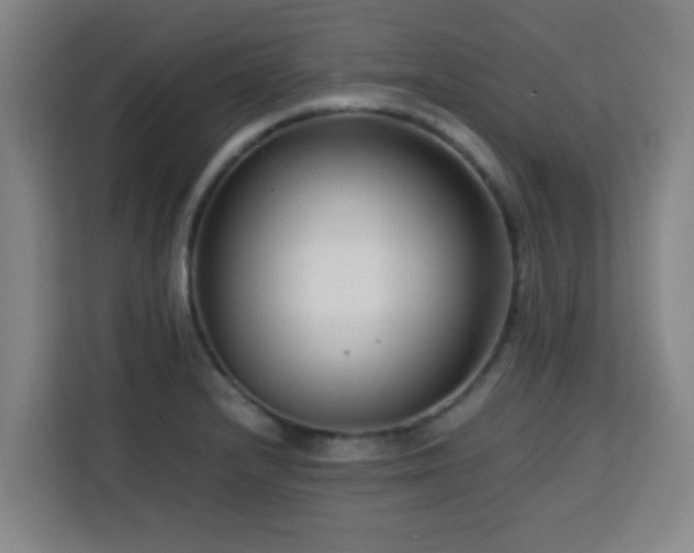 X0000113761232200909301103