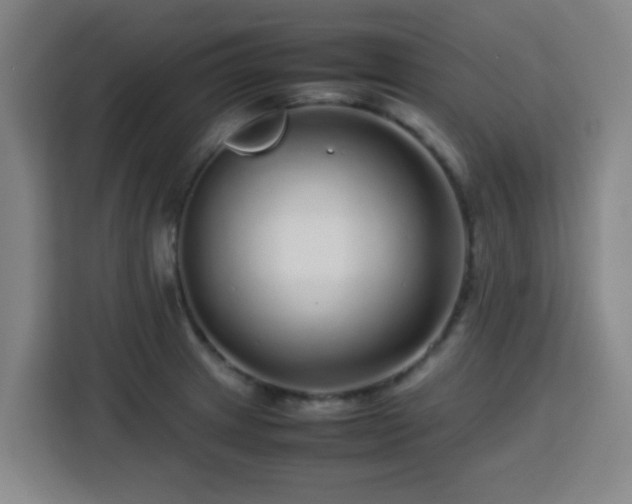 X0000113761233200909301103