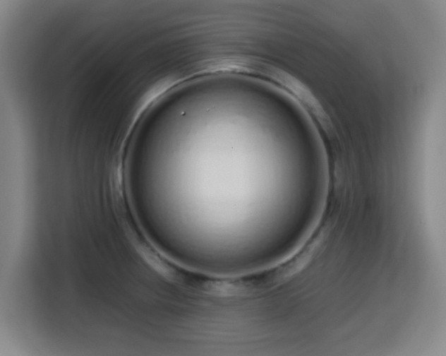 X0000113761234200909301103