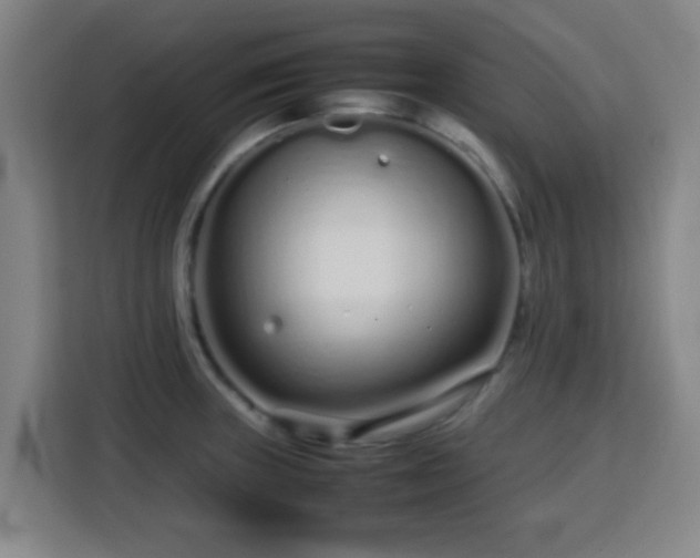 X0000113761235200909301103