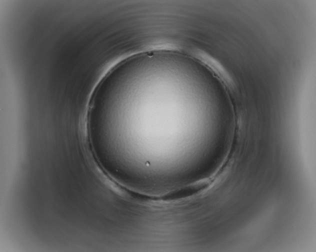X0000113761236200909301103
