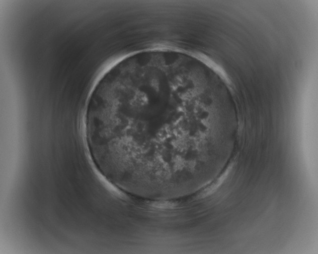 X0000113761239200909301103