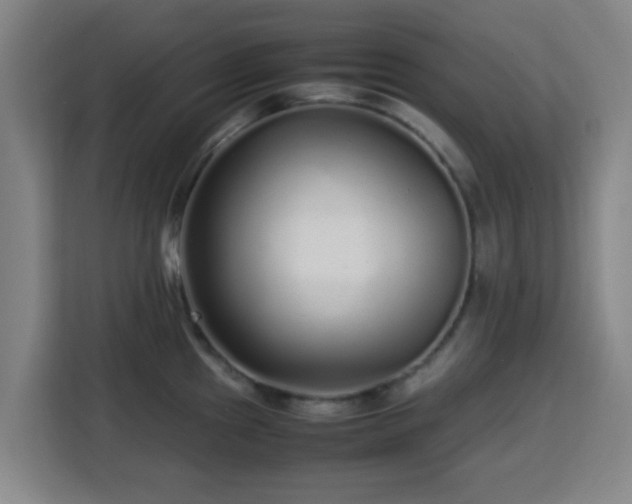 X0000113761241200909301103