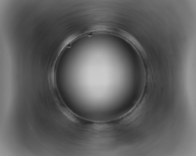 X0000113761242200909301103