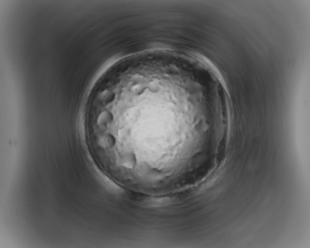 X0000113761243200909301103
