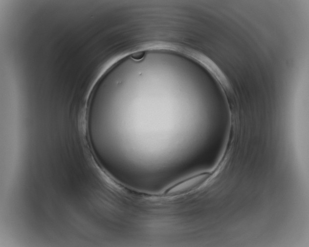X0000113761244200909301103