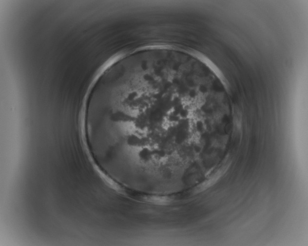 X0000113761245200909301103