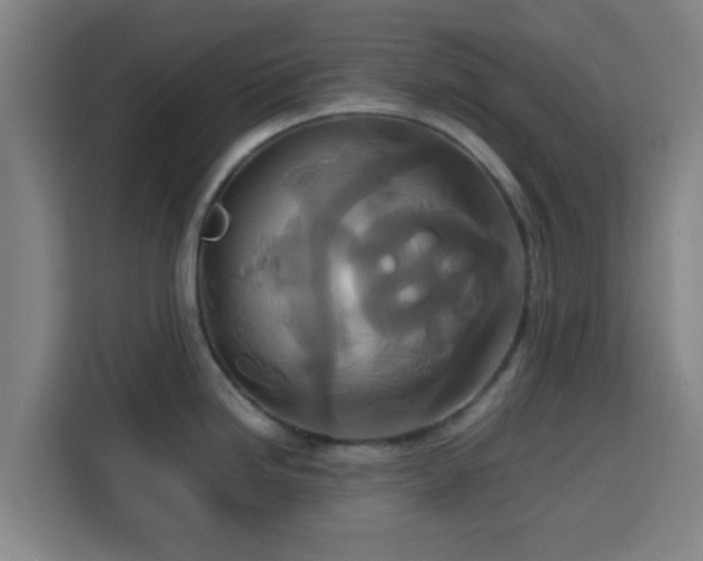 X0000113761246200909301103