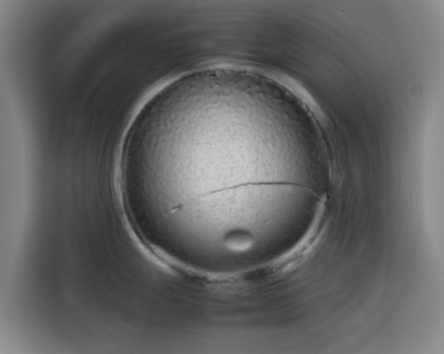 X0000113761247200909301103