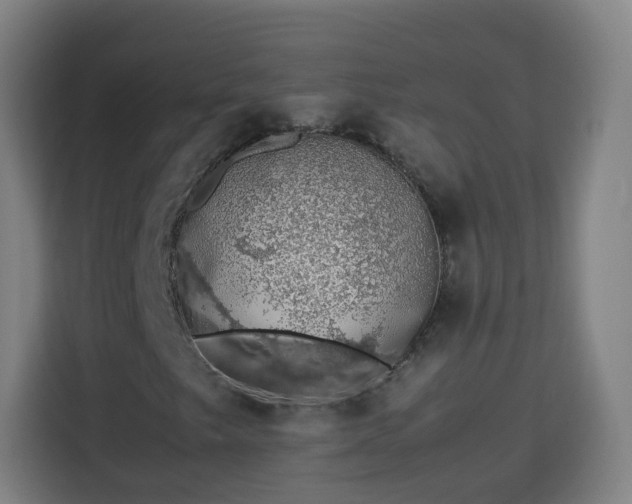 X0000113761249200909301102
