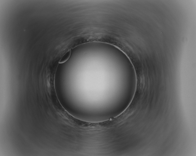 X0000113761250200909301102