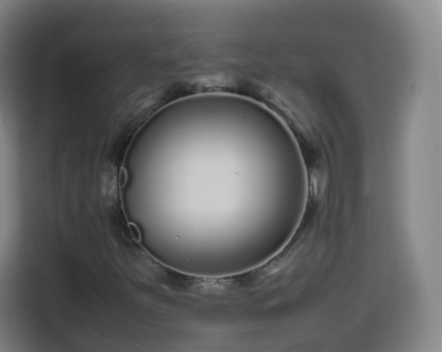 X0000113761251200909301102