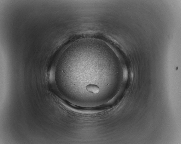 X0000113761252200909301102