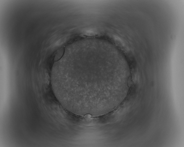 X0000113761253200909301102