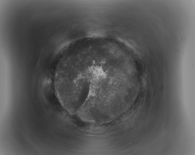 X0000113761254200909301102