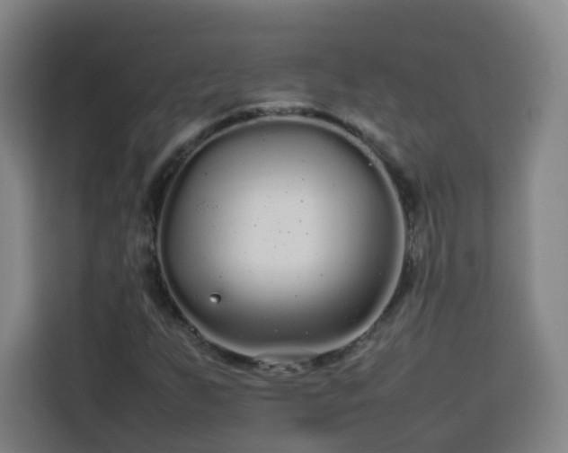 X0000113761255200909301102