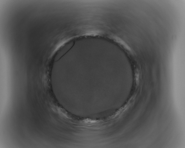 X0000113761256200909301102