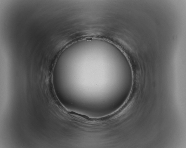 X0000113761257200909301102