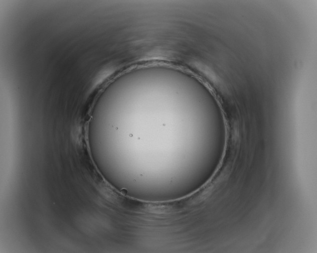 X0000113761258200909301102