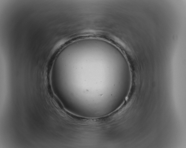 X0000113761259200909301102