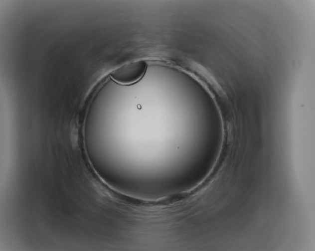 X0000113761260200909301102