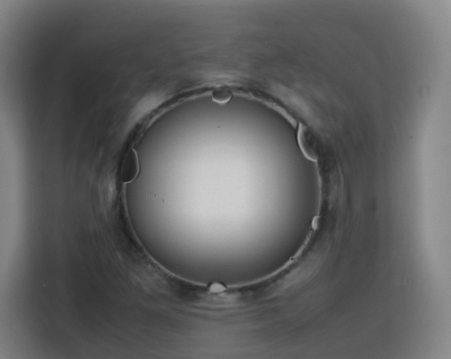 X0000113761261200909301102