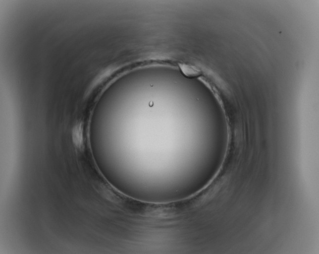 X0000113761262200909301102