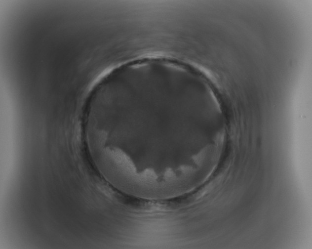 X0000113761263200909301102
