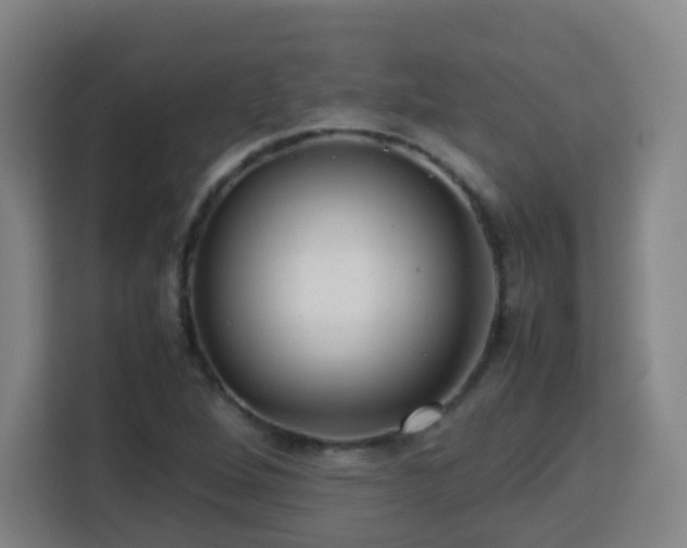 X0000113761264200909301102