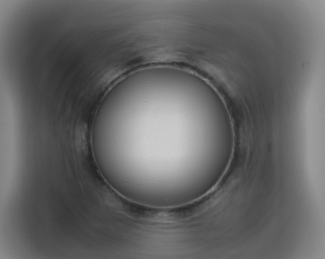 X0000113761265200909301102