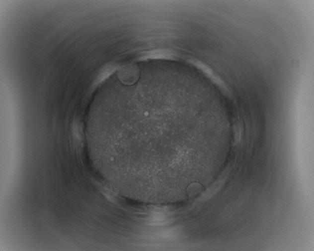 X0000113761266200909301102