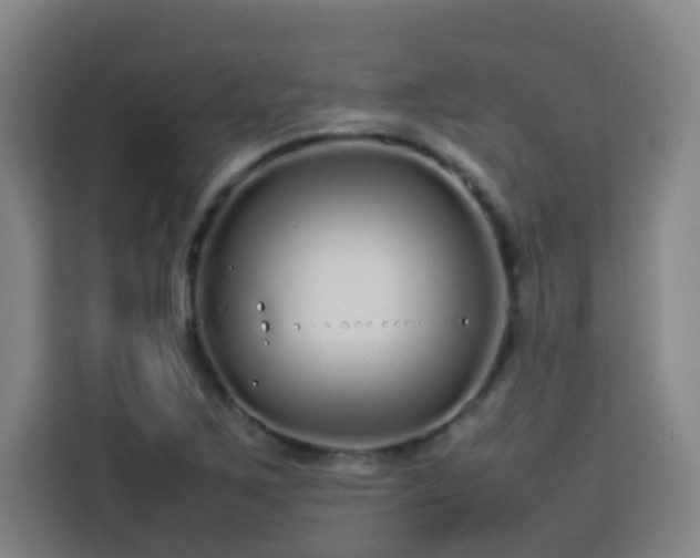 X0000113761267200909301102
