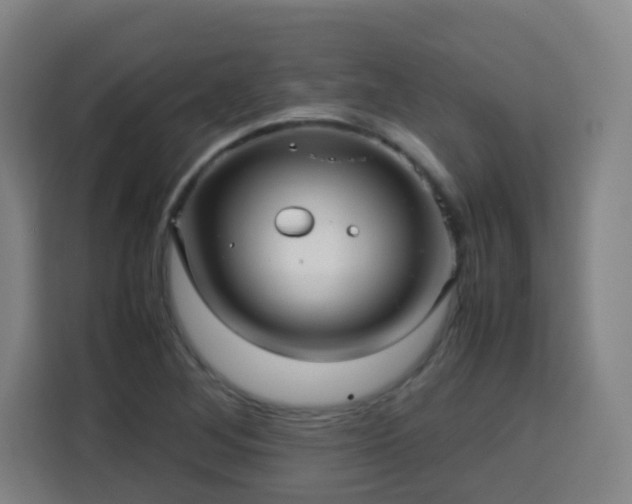 X0000113761268200909301102