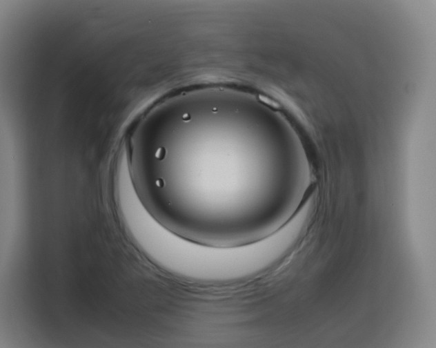 X0000113761269200909301102