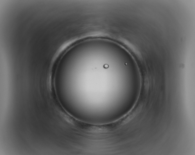 X0000113761270200909301102